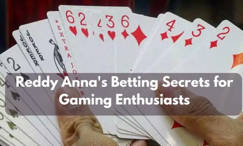 Reddy Anna's Betting Secrets for Gaming Enthusiasts